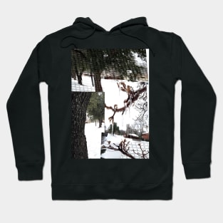 Photo mash up of the day it snowed. February 2022 Hoodie